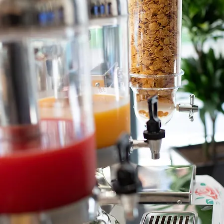 Ξενοδοχείο Resilient Golem (Tirana)